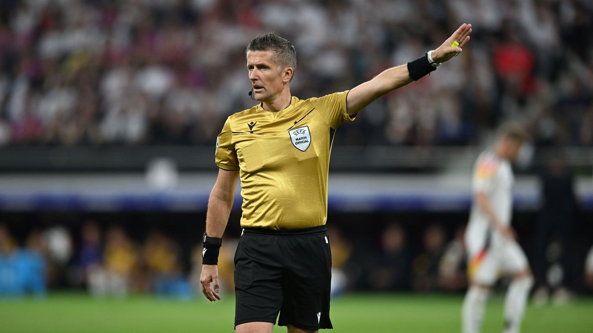 arbitro orsato